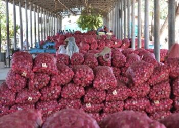 प्याज की बढ़ती कीमत को लेकर भारत सरकार ने क्या कदम उठाए, निर्यात शुल्क लगा दिया है, जानिए