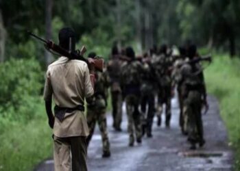 छत्तीसगढ़ के बीजापुर में 31 नक्सलियों को सुरक्षाबलों ने मार गिराया, जानिए पूरा आपरेशन