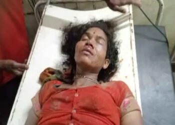 लातेहार: जंगली हाथियों के हमले में महिला गंभीर रूप से घायल, रिम्‍स रेफर