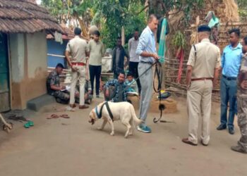 दुमका: देर रात घर में सो रहे दंपती की धारदार हथियार से हत्या, गांव में सनसनी