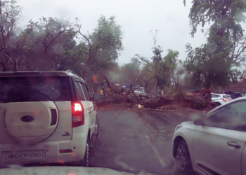 आंधी-तूफान से बकोरिया के पास पेड़ गिरा, रांची-डाल्टनगंज रोड जाम