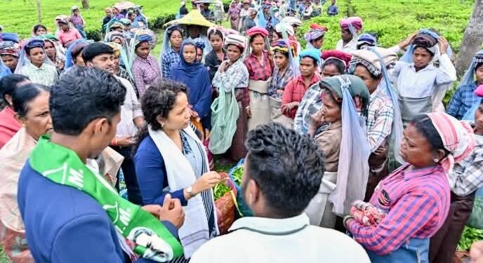 असम विधानसभा चुनाव में प्रचार के लिए कल्पना सोरेन उतरीं, चाय बागान पहुंचीं