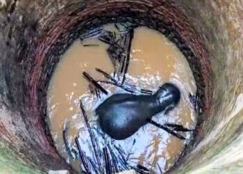 रांची के सोनाहातू में कुएं में गिरा हाथी,जंगल से भोजन की तलाश में भटक गया था