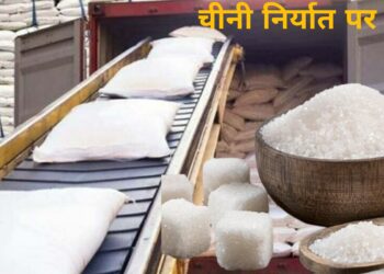 भारत ने चीनी के निर्यात पर क्यों रोक लगाई, जानिए